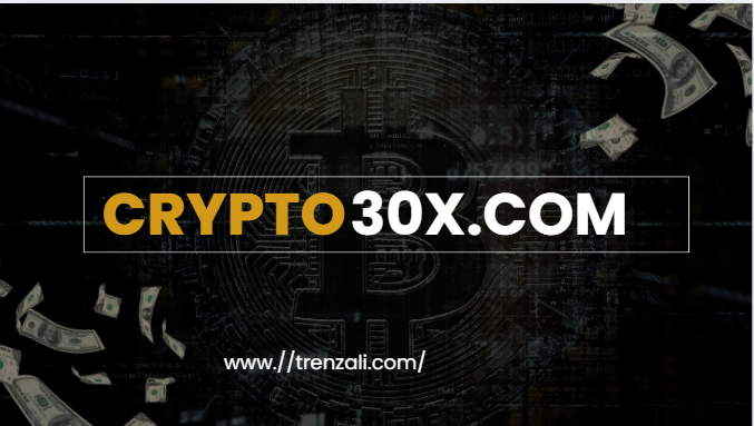 Crypto 30x.com |Complete information| [2024]